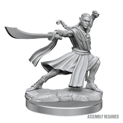 Dungeons & Dragons Frameworks: W01 Elf Monk Male