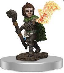Male Gnome Druid