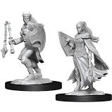 Nozlurs Kalashtar Cleric