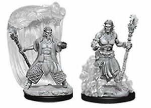 D&D Nolzurs Water Genasi Driud
