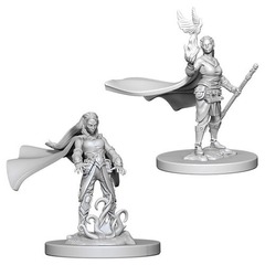 W04: Nolzur's Marvelous Miniatures - Elf Druid Female (72642)