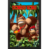 GEL-COAT - Donkey Kong Jungle (Brushed 11inX17in) Picture