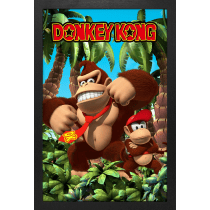 GEL-COAT - Donkey Kong Jungle (Brushed 11inX17in) Picture