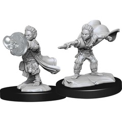 W14: Pathfinder Battles Deep Cuts - Halfling Wizard Male (90260)