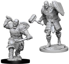 W07: Nolzur's Marvelous Miniatures - Goliath Fighter Male (73541)