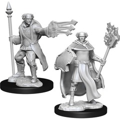 W13: Nolzur's Marvelous Miniatures - Multiclass Cleric & Wizard Male (90151)