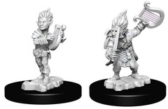 W05: Pathfinder Battles Deep Cuts - Gnome Bard Male (73344)