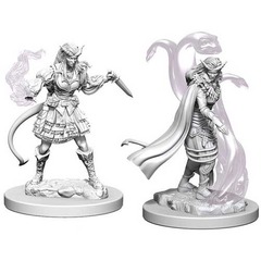 W04: Nolzur's Marvelous Miniatures - Tiefling Sorcerer Female (73202)