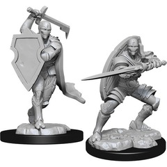 W13: Nolzur's Marvelous Miniatures - Warforged Fighter Male (90147)