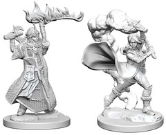 W01: Pathfinder Battles Deep Cuts - Human Cleric Female (72601)