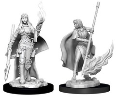 W11: Pathfinder Battles Deep Cuts - Human Oracle Female (90044)