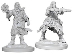 W06: Pathfinder Battles Deep Cuts - Human Wizard Male (73411)