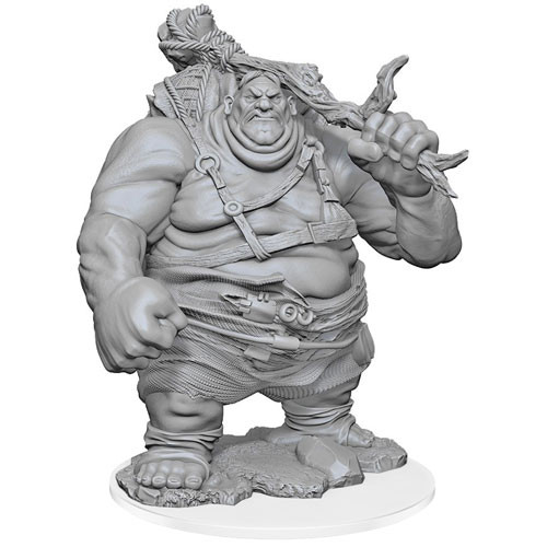 W17 Nolzurs Marvelous Miniatures - Hill Giant (90497)