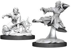 W11: Nolzur's Marvelous Miniatures - Human Monk Female (90008)