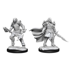 W15: Nolzur's Marvelous Miniatures - Dragonborn Fighter Female (90302)