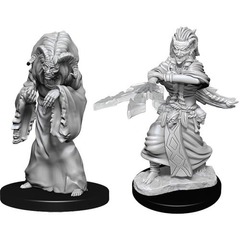 W14: Nolzur's Marvelous Miniatures - Night Hag & Dust Hag (90239)