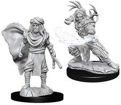 W06: Nolzur's Marvelous Miniatures - Human Druid Male (73390)