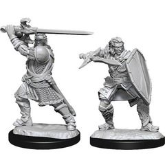 W14: Nolzur's Marvelous Miniatures - Human Paladin Male (90220)
