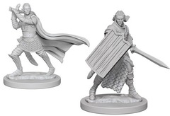 W02: Pathfinder Battles Deep Cuts - Elf Paladin Male (72608)