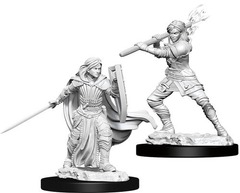 W10: Nolzur's Marvelous Miniatures - Human Paladin Female (73830)