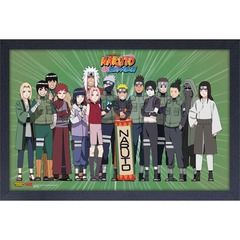GEL-COAT - Naruto Character Lineup (Brushed 11inX17in) Picture