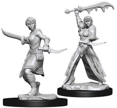 W10: Nolzur's Marvelous Miniatures - Human Rogue Female (73831)