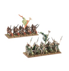 WOOD ELF REALMS - Eternal Guard (13-106)