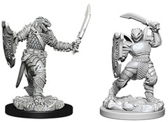W05: Nolzur's Marvelous Miniatures - Dragonborn Paladin Female (73341)