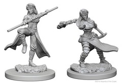 W01: Nolzur's Marvelous Miniatures - Human Monk Female (72634)