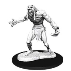 W12: Nolzur's Marvelous Miniatures - Raging Troll (90081)