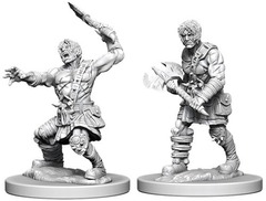 W06: Nolzur's Marvelous Miniatures - Nameless One (73398)