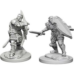 W03: Nolzur's Marvelous Miniatures - Human Paladin Male (72629)