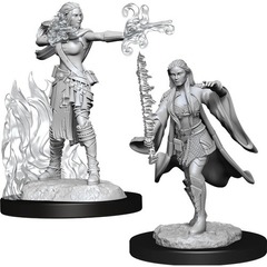 W13: Nolzur's Marvelous Miniatures - Multiclass Warlock & Sorcerer Female (90149)