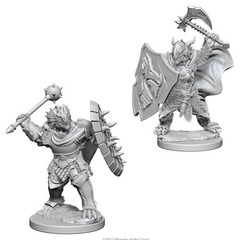 W04: Nolzur's Marvelous Miniatures - Dragonborn Paladin Male (73200)