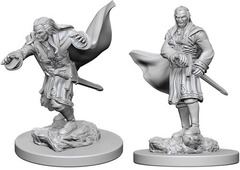W01: Nolzur's Marvelous Miniatures - Vampires (72565)