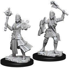 W08: Nolzur's Marvelous Miniatures - Human Cleric Female (73671)