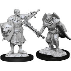 W14: Pathfinder Battles Deep Cuts - Human Champion Male (90263)