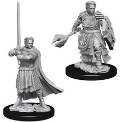 W08: Nolzur's Marvelous Miniatures - Human Cleric Male (73672)
