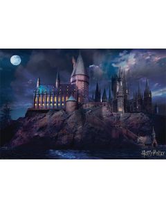 Harry Potter - Hogwarts (160858)