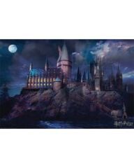 Harry Potter - Hogwarts (160858)