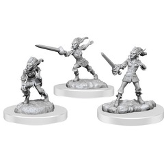 W19: Nolzur's Marvelous Miniatures - Quicklings (90587)