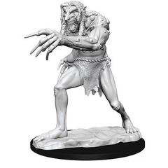 W12.5: Nolzur's Marvelous Miniatures - Troll (90190)