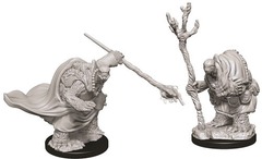 W09: Nolzur's Marvelous Miniatures - Tortle Adventurers (73700)