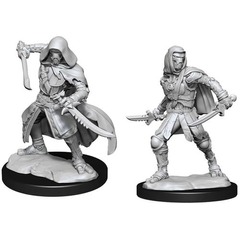 W14: Nolzur's Marvelous Miniatures - Warforged Rogue (90236)