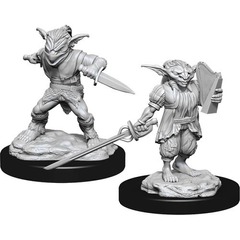 W15: Nolzur's Marvelous Miniatures - Goblin Rogue & Bard (90309)