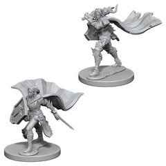 W04: Pathfinder Battles Deep Cuts - Elf Paladin Female (72609)