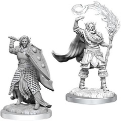 W16 Nolzur's Marvelous Miniatures - Elf Cleric Male (90404)