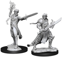 W11: Pathfinder Battles Deep Cuts - Elf Magus Male (90043)