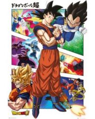 Dragonball Z Super Panels (160993)