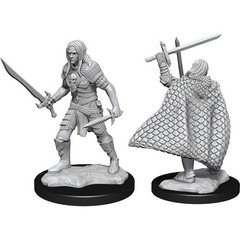 W13: Pathfinder Battles Deep Cuts - Elf Fighter Male (90169)